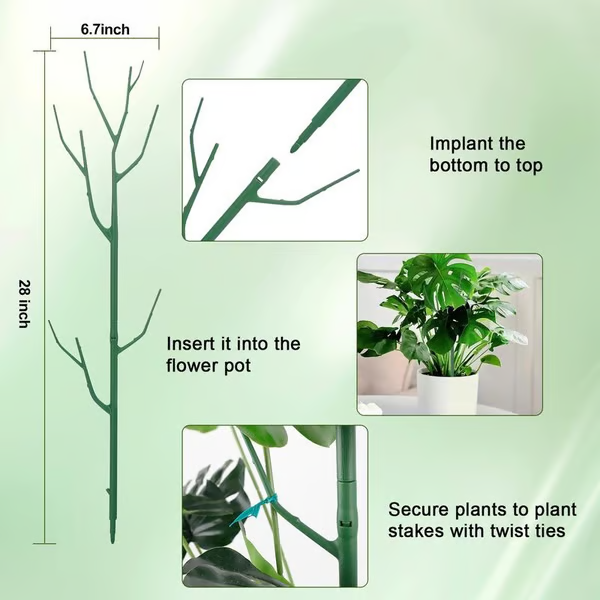 Plant Support Stakes 🌿