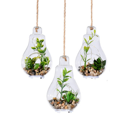 Elegant Hanging Terrarium Planter with Rope