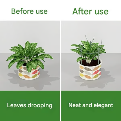 Plant Support Stakes 🌿