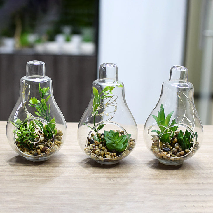 Elegant Hanging Terrarium Planter with Rope