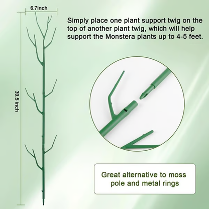 Plant Support Stakes 🌿