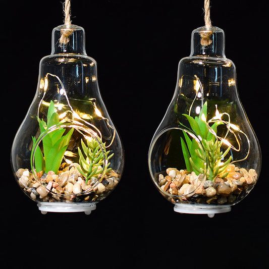 Elegant Hanging Terrarium Planter with Rope