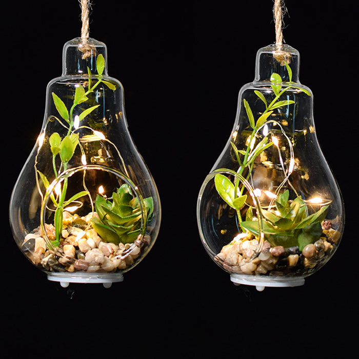 Elegant Hanging Terrarium Planter with Rope