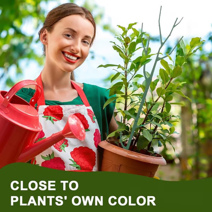 Plant Support Stakes 🌿