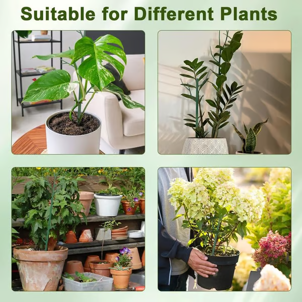 Plant Support Stakes 🌿