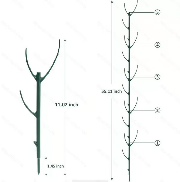 Plant Support Stakes 🌿