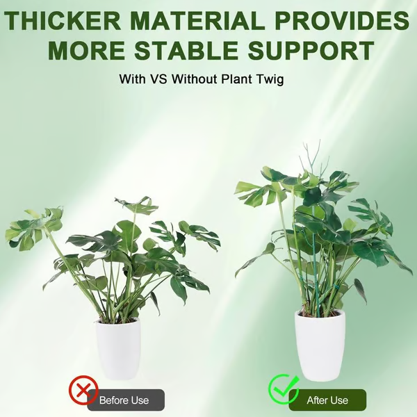 Plant Support Stakes 🌿