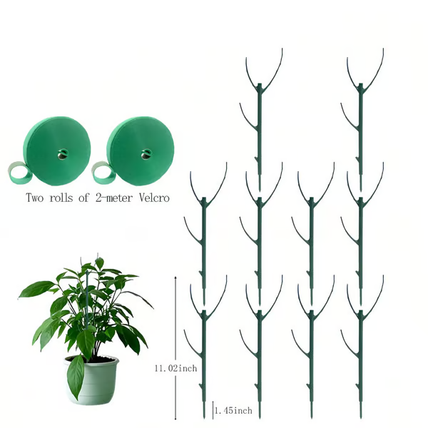 Plant Support Stakes 🌿