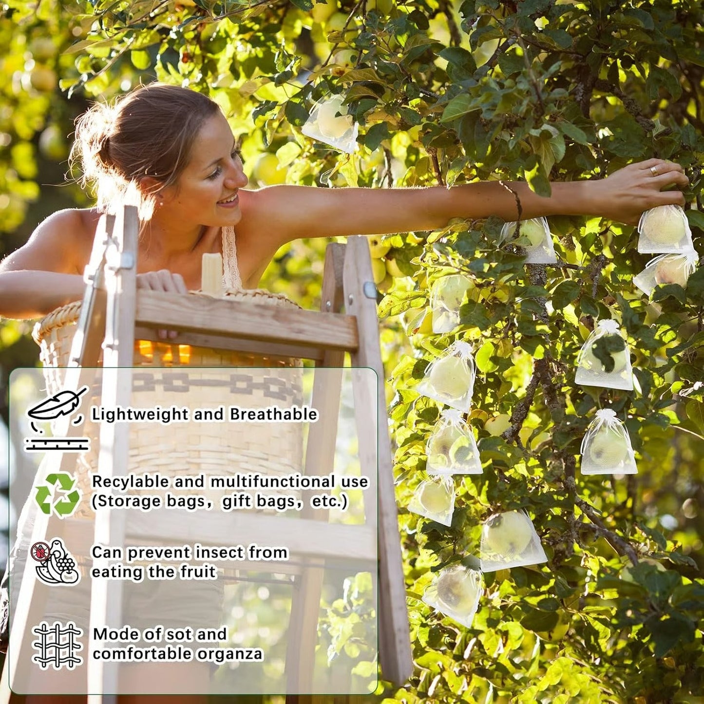 Fruit Protection Bags