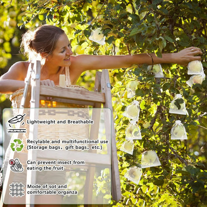 Fruit Protection Bags