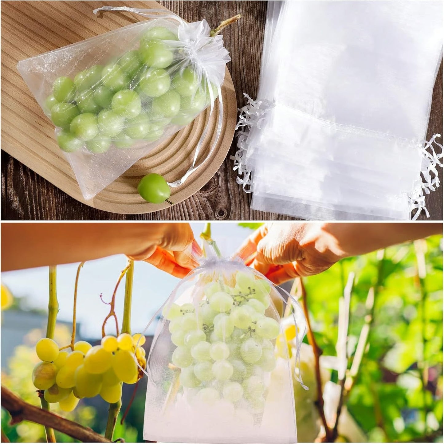 Fruit Protection Bags