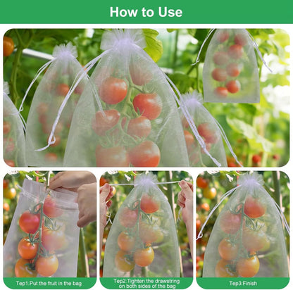 Fruit Protection Bags