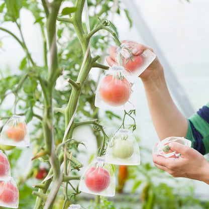 Fruit Protection Bags
