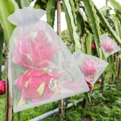 Fruit Protection Bags