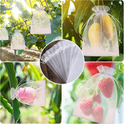 Fruit Protection Bags