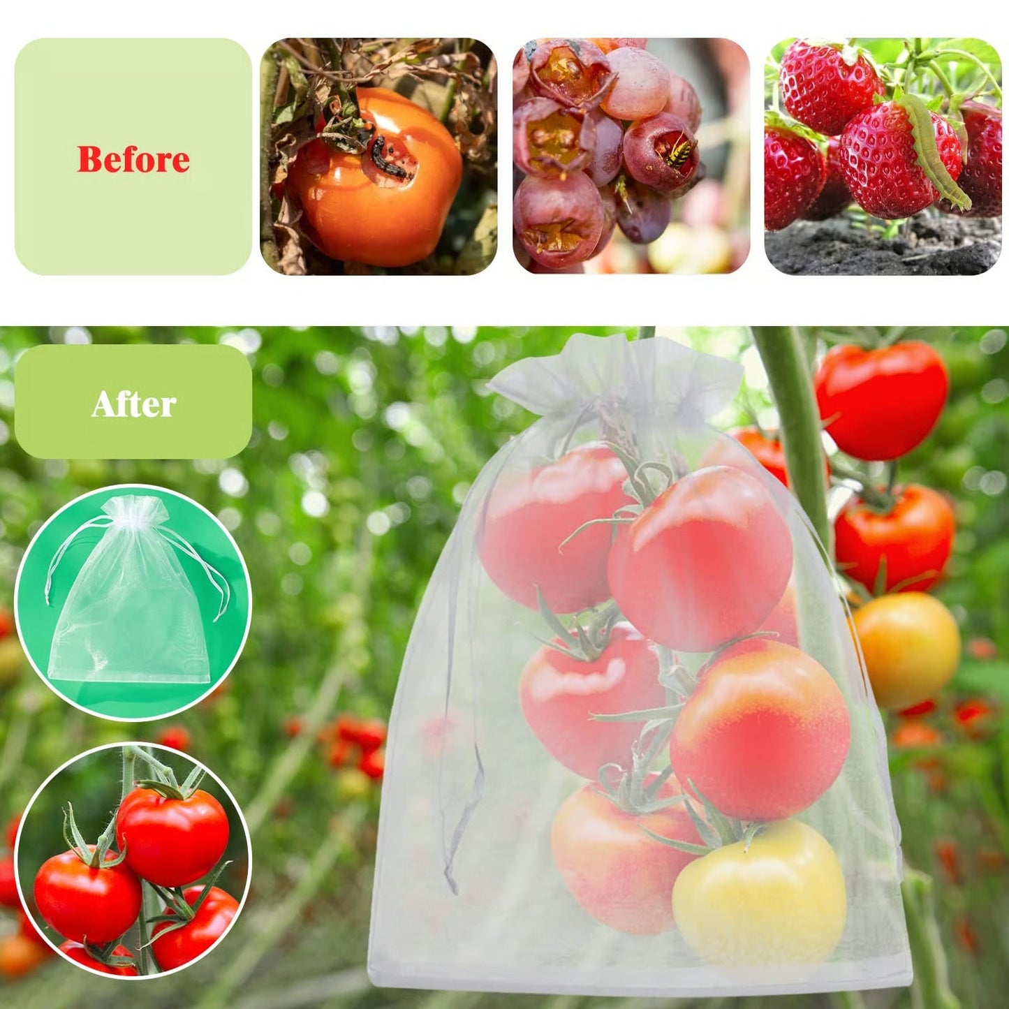 Fruit Protection Bags