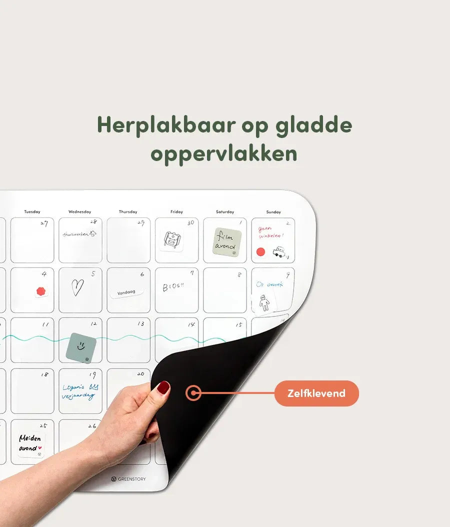 Multipurpose Wall Sticky Planner